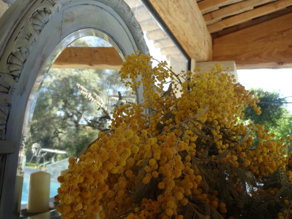 Les 4 Elements Bed and Breakfast Tourrettes-sur-Loup Εξωτερικό φωτογραφία