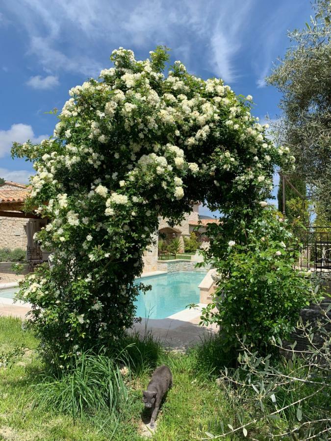 Les 4 Elements Bed and Breakfast Tourrettes-sur-Loup Εξωτερικό φωτογραφία