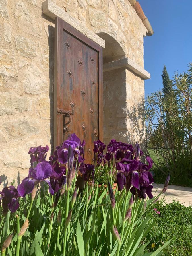 Les 4 Elements Bed and Breakfast Tourrettes-sur-Loup Εξωτερικό φωτογραφία