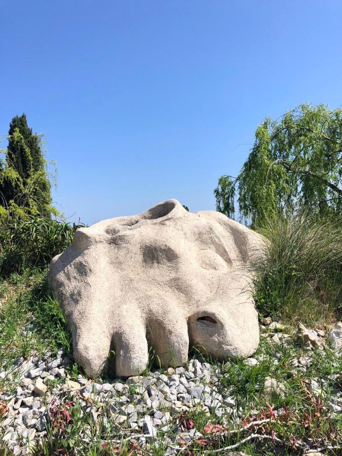 Les 4 Elements Bed and Breakfast Tourrettes-sur-Loup Εξωτερικό φωτογραφία